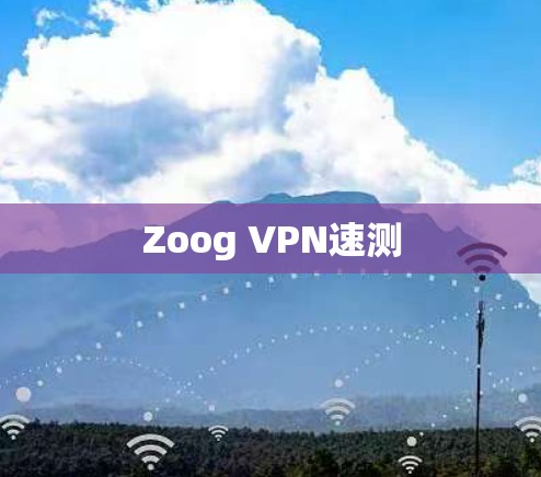 Zoog VPN速测