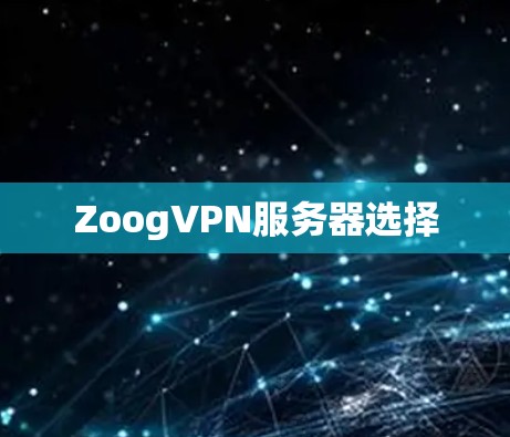 ZoogVPN服务器选择