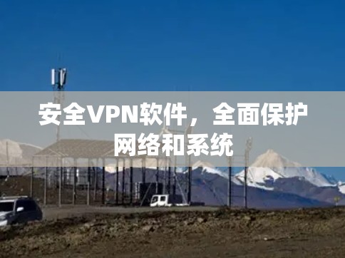 安全VPN软件，全面保护网络和系统