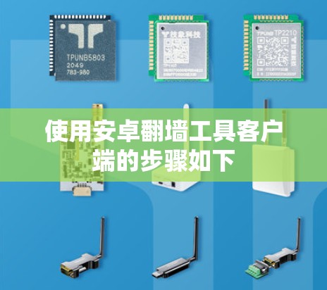 使用安卓翻墙工具客户端的步骤如下