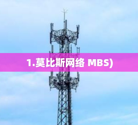 1.莫比斯网络 MBS)
