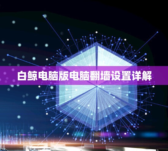 白鲸电脑版电脑翻墙设置详解 白鲸电脑版电脑翻墙设置详解