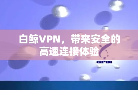 白鲸VPN，带来安全的高速连接体验