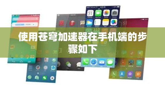 使用苍穹加速器在手机端的步骤如下