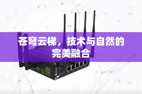 苍穹云梯，技术与自然的完美融合