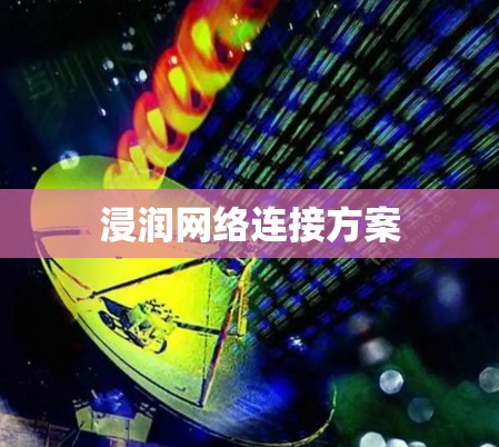 浸润网络连接方案