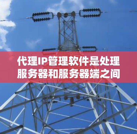 代理IP管理软件是处理服务器和服务器端之间的IP地址关系的重要工具，帮助管理员高效地管理多个服务器上的IP地址。以下是针对代理IP管理软件的学习和总结