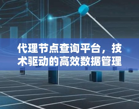 代理节点查询平台，技术驱动的高效数据管理