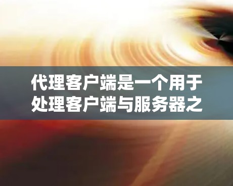 代理客户端是一个用于处理客户端与服务器之间的通信系统，负责发送请求、处理请求并返回响应。以下是对代理客户端的详细说明