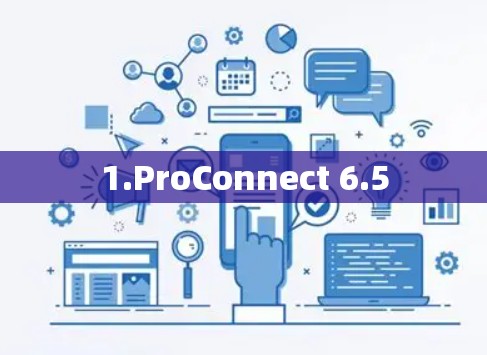 1.ProConnect 6.5