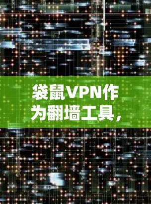 袋鼠VPN作为翻墙工具，提供了模拟VPN的环境，适合需要快速访问VPN服务的用户。其主要功能包括多语言支持、匿名通信和加密传输，这些功能对用户来说很重要，尤其是跨国或需要匿名的情况
