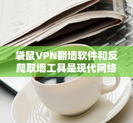 袋鼠VPN翻墙软件和反爬取墙工具是现代网络监控和安全工具中的重要组成部分，它们各自有不同的功能和使用场景。以下是对这两类工具的详细分析