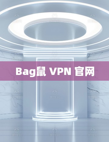 Bag鼠 VPN 官网
