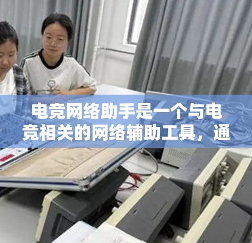 电竞网络助手是一个与电竞相关的网络辅助工具，通常指提供电竞比赛、游戏指导、数据分析或实时信息支持的网络设备或软件。这类助手可能具备以下功能