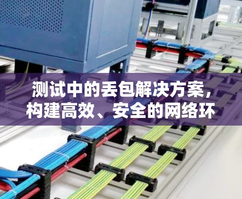 测试中的丢包解决方案，构建高效、安全的网络环境