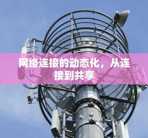 网络连接的动态化，从连接到共享