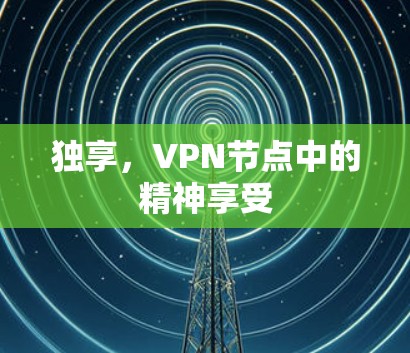 独享，VPN节点中的精神享受