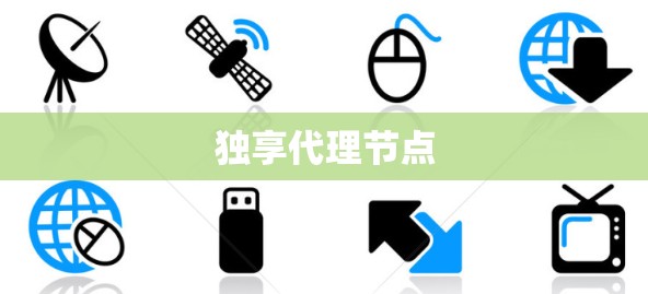 独享代理节点