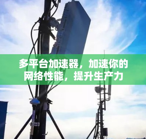 多平台加速器，加速你的网络性能，提升生产力