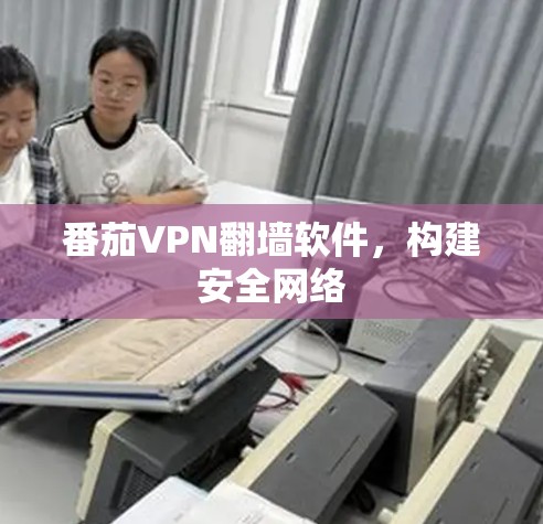 番茄VPN翻墙软件，构建安全网络