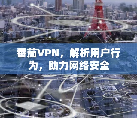 番茄VPN，解析用户行为，助力网络安全