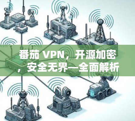 番茄 VPN，开源加密，安全无界—全面解析