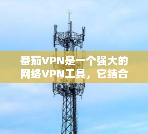 番茄VPN是一个强大的网络VPN工具，它结合了加密、多端切换和速率控制等功能，帮助用户轻松连接世界各处的互联网环境。要优化番茄VPN带来的网络性能，可以从以下几个方面入手