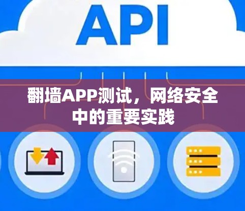 翻墙APP测试，网络安全中的重要实践