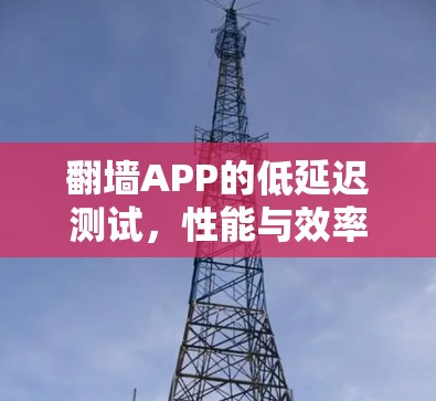 翻墙APP的低延迟测试，性能与效率的平衡