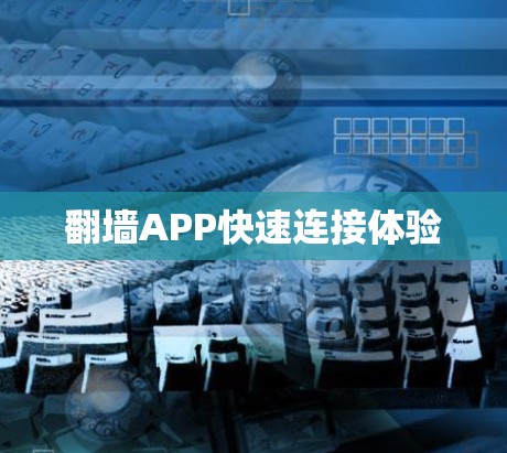 翻墙APP快速连接体验