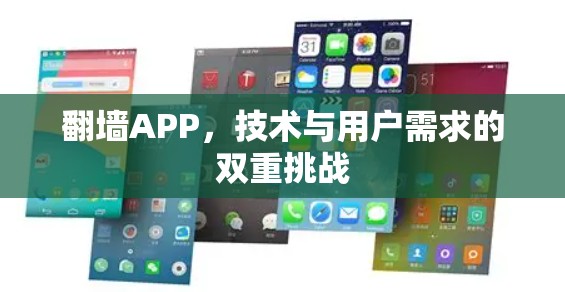翻墙APP，技术与用户需求的双重挑战
