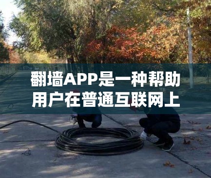 翻墙APP是一种帮助用户在普通互联网上访问特定网站或服务器的工具，通常通过使用软件或第三方服务实现。以下是对翻墙APP使用体验的详细介绍