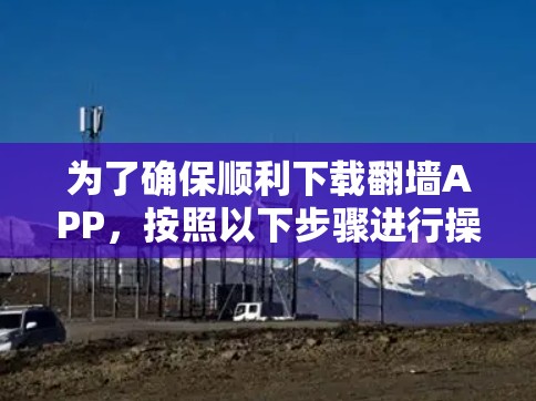 为了确保顺利下载翻墙APP，按照以下步骤进行操作
