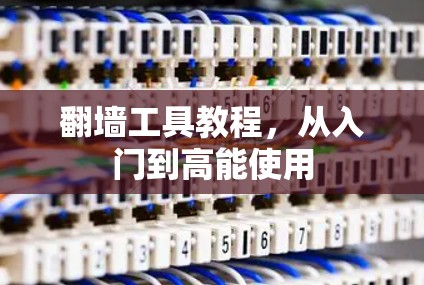 翻墙工具教程，从入门到高能使用