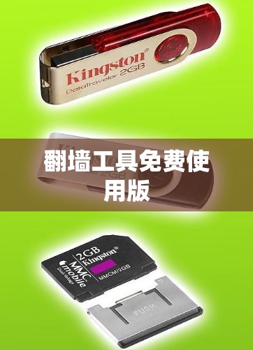 翻墙工具免费使用版