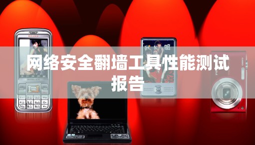 网络安全翻墙工具性能测试报告