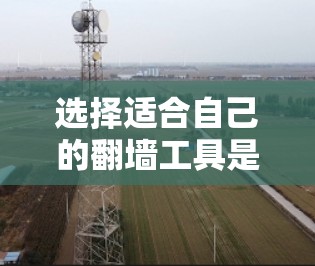选择适合自己的翻墙工具是一个关键决策，需要根据你的需求、预算、经验和网络环境来考虑。以下是一个结构化的指南，帮助你做出明智的选择