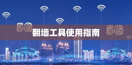 翻墙工具使用指南
