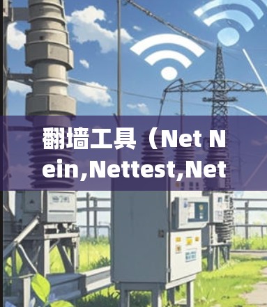 翻墙工具（Net Nein,Nettest,Netly,etc.作为一种在线服务或应用，帮助用户访问网络资源时，避免被网络过滤或阻止访问。以下是关于翻墙工具的真实体验分享
