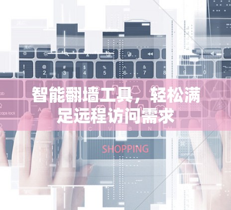 智能翻墙工具，轻松满足远程访问需求