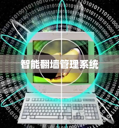 智能翻墙管理系统