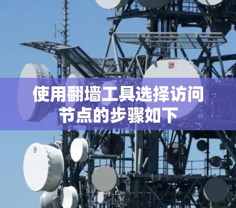 使用翻墙工具选择访问节点的步骤如下