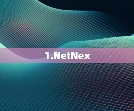 1.NetNex