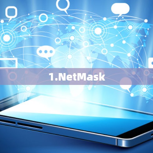 1.NetMask