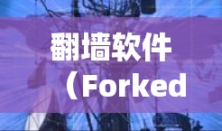 翻墙软件（Forked Domain Software）用于绕过防火墙，允许用户访问外部网络。然而，使用翻墙软件时，确保网络和系统稳定是至关重要的。以下是一个关于翻墙软件稳定检测的指南