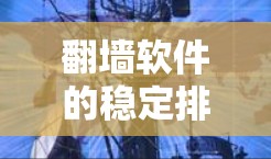 翻墙软件的稳定排行（稳定性和用户体验评估）