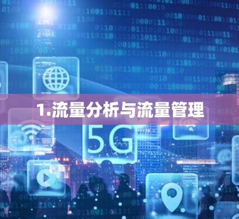 1.流量分析与流量管理