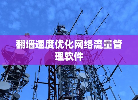 翻墙速度优化网络流量管理软件