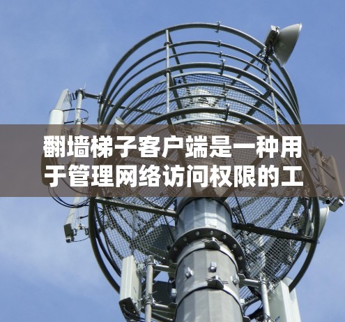 翻墙梯子客户端是一种用于管理网络访问权限的工具。以下是一些推荐的翻墙梯子客户端