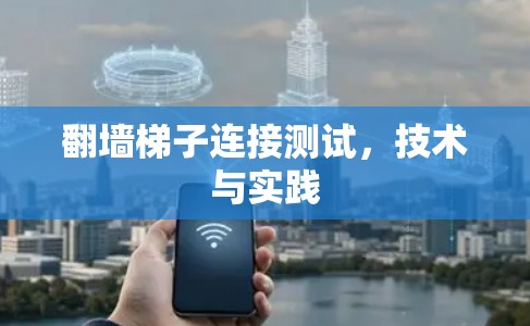 翻墙梯子连接测试，技术与实践